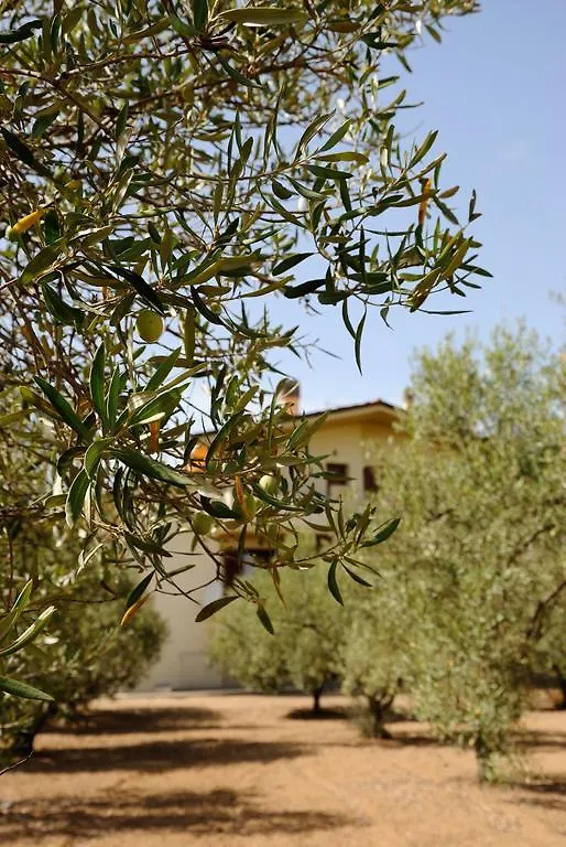 La Casa Degli Ulivi Villa Càbras 0*,  Italien